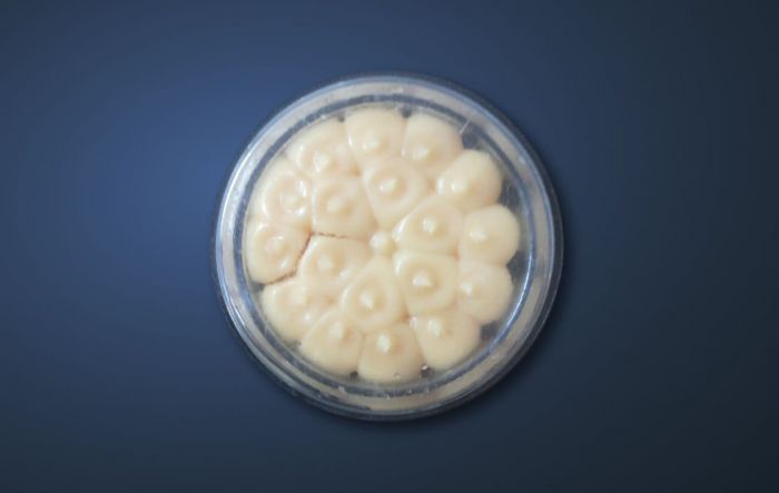 Un disco de metacrilato con una crema blanca en su interior que sirve de repelente para palomas