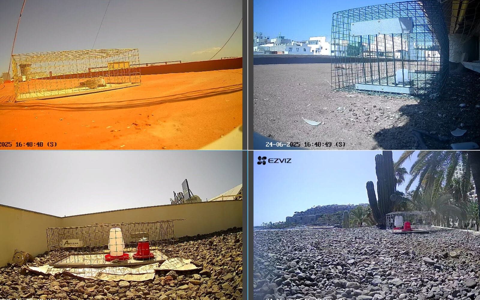 Pantallas con la visión de múltiples cámaras de vigilancia.