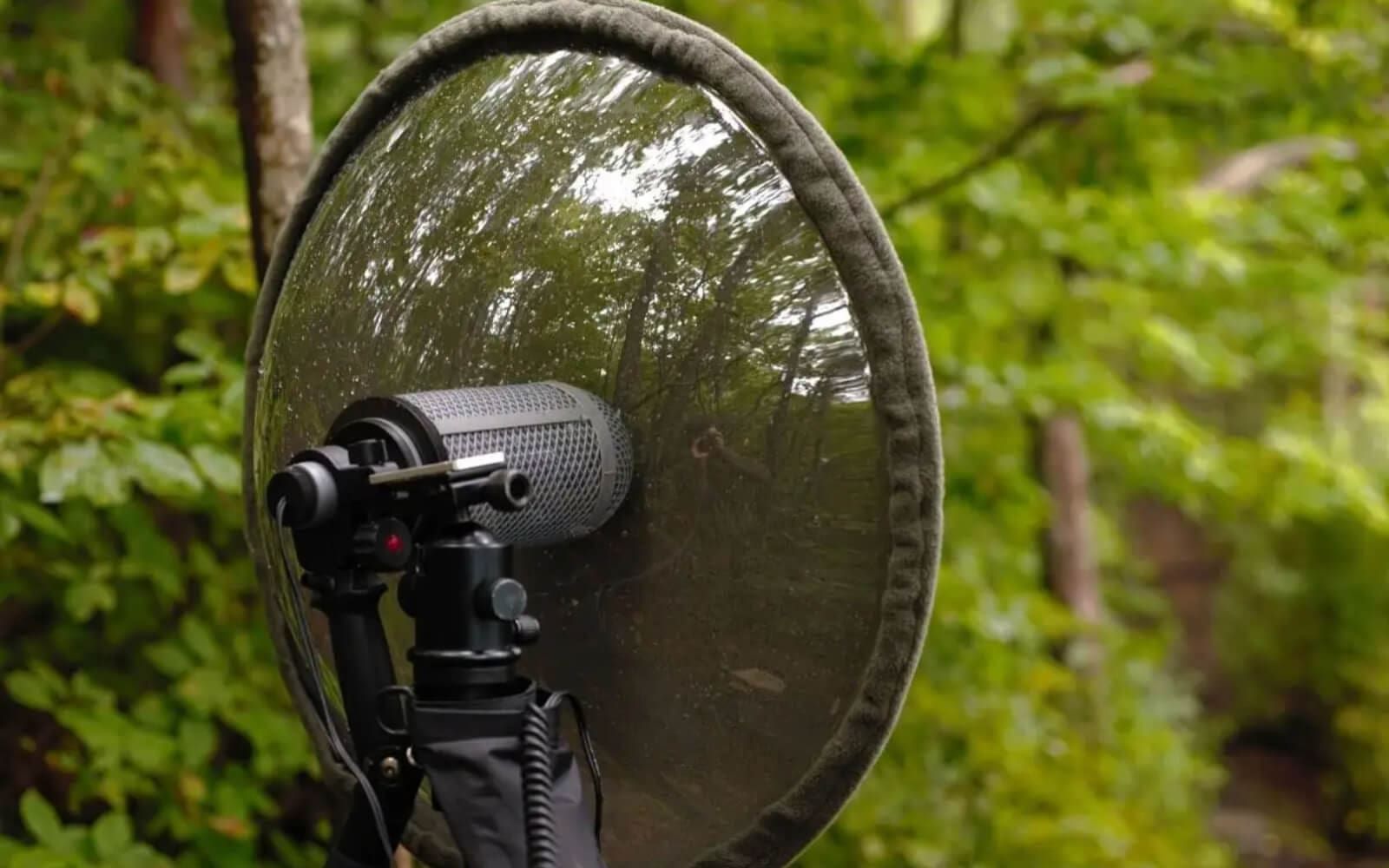 Microfono parabólico