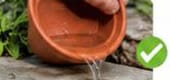 Vacía los recipientes con agua