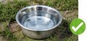 Cambia frecuentemente el agua